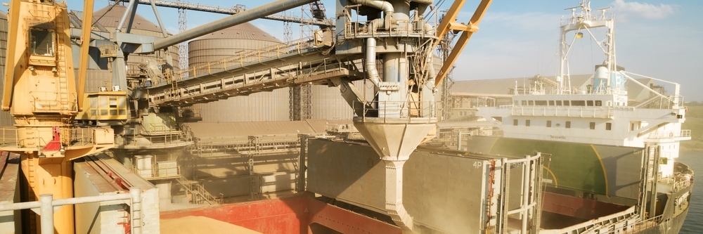 곡물 저장 사일로에서 항구의 자동 라인을 통해 해상 화물선의 창고에 곡물을 적재합니다.